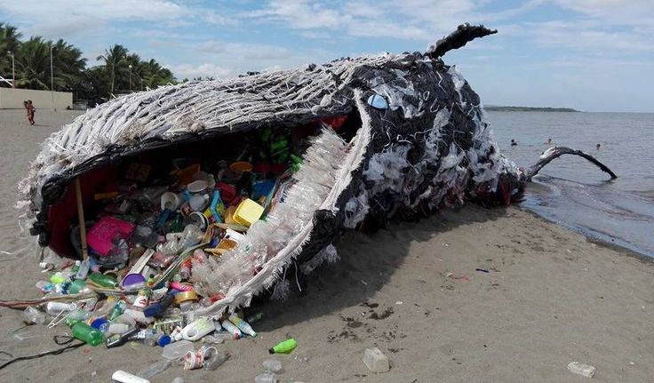Playa contaminada por plástico